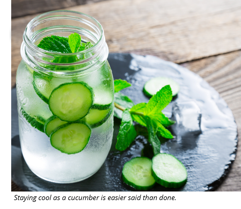 Cucumber and mint water with ice. 